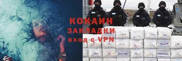 PSILOCYBIN Аркадак